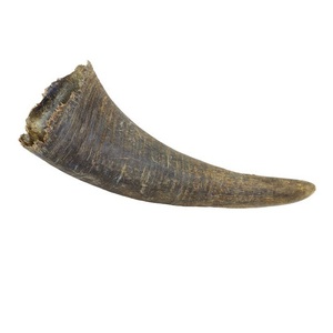 Pièce décorative artisanale en corne de buffle sculptée, matériau naturel et organique, ornement rond fait main pour la maison, mariage, bricolage par HF CRAFTS - Product Image 1