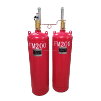 Système d'extinction d'incendie de poudre sèche automatique Portable direct d'usine capacité 6kg extincteur d'agent de gaz et d'eau CO2 et mousse
