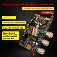 Module amplificateur mono 100W 1001U en mode boost avec commandes de basses et aigus TWS pour enceintes DIY extérieures TPA3116