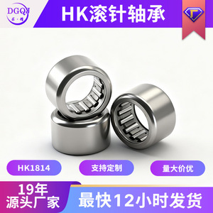 Rodamiento de Agujas HK1814 18x24x14mm Métrico Precisión P0 Sin Sellado Acero al Cromo de Alto Contenido de Carbono para Uso en Plantas de Fabricación - Product Image 5