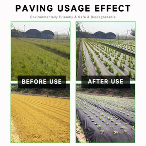Film de <span class=keywords><strong>paillage</strong></span> anti-mauvaises herbes en PP, largeur 0,6-2 m, avec trous, pour jardin, tapis de contrôle des adventices, barrière anti-mauvaises herbes en tissu non tissé, collection Printemps 2026 - Product Image 5