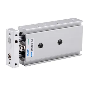 CXS series Twin Rod Dual Shaft Pneumatic Cylinder Air Guide Cylinder With Magnet