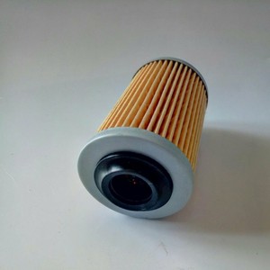 Filtro de aceite Rabbit King PF2129 TJ-0955 para Buick Regal CTS SRX Seville Opel V6 - Product Image 4