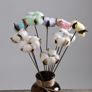 Décoration de mariage en gros, fleurs préservées, 100% naturelles, respectueuses de l'environnement, longue durée de <span class=keywords><strong>vie</strong></span> - Product Image 5