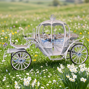 Chariots de mariage en forme de citrouille blanche, carrosse royal Cendrillon pour princesse - Prix de gros - Product Image 3