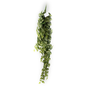 <span class=keywords><strong>Feuille</strong></span> de <span class=keywords><strong>patate</strong></span> <span class=keywords><strong>douce</strong></span> simulée et ensemble extérieur de décoration murale en rotin - Product Image 2