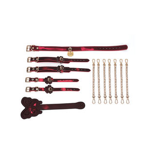 Ensemble de Contrainte de Punition à Changement de Température avec Bracelet, <span class=keywords><strong>Bande</strong></span> de <span class=keywords><strong>Cheville</strong></span> et Collier - Jeu SM Fouet pour Jouets BDSM pour Adultes - Product Image 1
