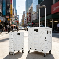 Chariot de courses pliable léger 35 kg en métal et plastique, six roues, vert menthe, personnalisable, pour monter les escaliers
