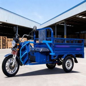 Manufactured Online Wholesale <strong>Mini</strong> Electric <strong>Tricycle</strong> <strong>Truck</strong> Road-Legal <strong>Cargo</strong> <strong>Scooter</strong> with Open Body Door-to-Door Shipping Carrie - Product Image 4