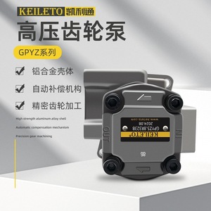 ปั๊มน้ำมันเกียร์ Keileto รุ่น Gpyz5.8r323b สำหรับเปลี่ยนแทน Shimadzu ผลิตในไต้หวัน - Product Image 4
