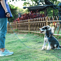 Truelove vente en gros de haute qualité réglable Durable chien laisse corde de luxe réfléchissant extérieur mains libres formation souple laisse pour animaux de compagnie