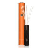 Diffuseur de parfum à bâtonnets de nouvelle conception pour cadeau