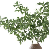 Plante artificielle à feuilles vertes longues de type Japonica, toucher réaliste, simulation de verdure pour la décoration de bureau et de maison de style nordique