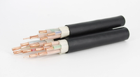 Câble électrique en cuivre Xlpe 0.6/1KV YJV 5 conducteurs 16mm 25mm 35mm 50mm Câbles gainés en PVC noir Fils 600/1000V