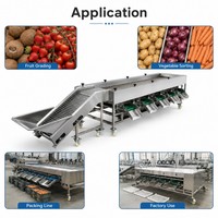 Hoog-efficiënte sorteermachine voor kiwi's, aardappelen, courgettes, tomaten, komkommers, uien, noten, fruit en groenten.