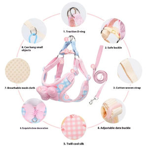 Nuevo Arnés Acolchado para Perros con Correa, Diseño Moderno y Lindo para Gatos y Perros, Decoración Ajustable con Lazo - Product Image 4