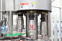 Machine de remplissage entièrement automatique 2-en-1 pour bouteilles de 500 ml et 2 L, idéale pour l'extraction d'huiles essentielles et l'huile de tournesol (1 L)
