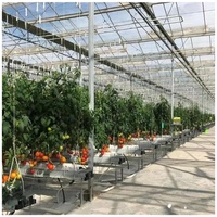 Systèmes hydroponiques de culture intérieure, légumes pour airsoft, toutes tailles, serre pour tomates