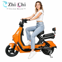 Vélo Électrique Urbain Longue Portée 48V 500W 14 Pouces à Moteur Arrière en Acier Carbone avec Fonctionnalités Électroniques et Batterie au Plomb – Vente Directe Usine