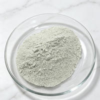 Poudre de zéolite clinoptilolite naturelle de haute pureté, blanc cassé, 600 mesh, pour l'aquaculture/l'agriculture, l'alimentation animale, la litière pour animaux de compagnie, désodorisant, 1 kg MOQ