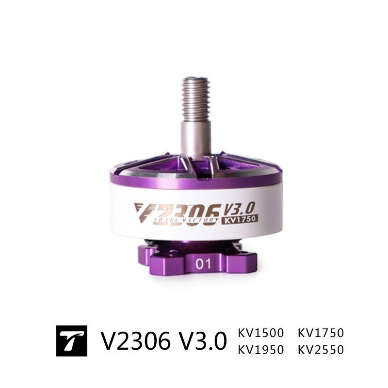 V2306V3
