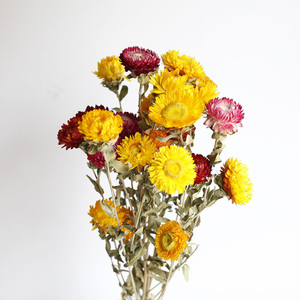 Ramo de Flores Secas Naturales para Boda, 20 Flores Secas Conservadas para <span class=keywords><strong>Funeral</strong></span> Memorial, Suministros Funerarios de Calidad Premium - Product Image 3