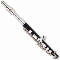 JY Golden Tone E100 Piccolo Nickel-Plated High Quality 20-Key Professional Entry-Level with Tone C