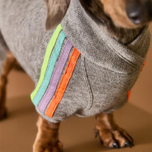 Qiqu pull à col roulé <span class=keywords><strong>teckel</strong></span> personnalisé pour chiens manches à rayures multicolores mignon nouveau maillot de fournitures pour animaux de compagnie - Product Image 4