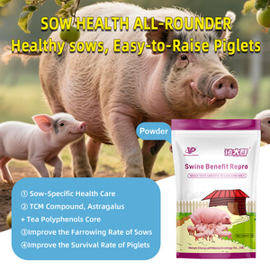 Acondicionador Reproductivo para Cerdas CY Swine Benefit Repro: Alivia el Estreñimiento y Promueve la Celo - Product Image 1