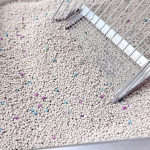 プレミアムベントナイト猫砂　速乾性ペット用清掃用品　ベントナイト猫砂 - Product Image 2