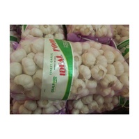 Ajos/Chine Ail rouge frais Ajo pour le marché du Chili 10kg/carton 55mm/60mm qualité d'exportation de l'ail