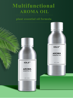 Hôtel cinq étoiles grande bouteille diffuseur d'huile essentielle en aluminium écologique désodorisant pour voitures recharge pratique cinq étoiles