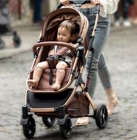 Poussette pour bébé qui peut être utilisée pour s'asseoir ou s'allonger Poussette bidirectionnelle légère et pliable absorbant les chocs pour bébés