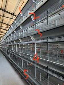 Sıcak satış 96 / 160 kuşlar 3 / 4 katmanlar tarım ekipmanları katmanlar kafes için a tipi pil kafesleri - Product Image 3