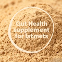 Culture d'Aspergillus Oryzae multi-enzymes naturel : Libère les nutriments cachés dans le fourrage pour des ruminants à haut rendement