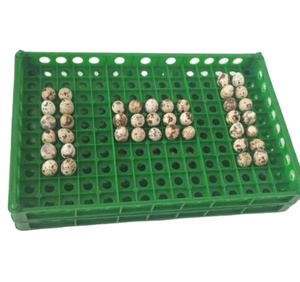 Green Plastic Poultry Equipments Pigeon Birds Quail Egg Tray for Transport Using