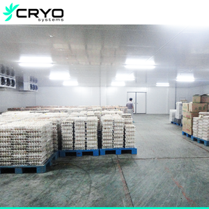 <span class=keywords><strong>Chambre</strong></span> <span class=keywords><strong>froide</strong></span> commerciale Congélation personnalisée Blast Congélateur Salle Stockage Réfrigération - Product Image 4