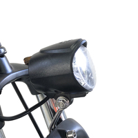 Logo personnalisé 24 "48V batterie au lithium tricycle électrique à 3 roues Oem 500w tricycles électriques longue distance pour adulte