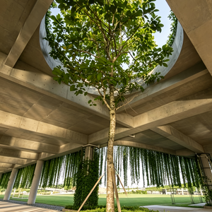 Schéma complet de <span class=keywords><strong>dessin</strong></span> architectural pour pavillon écologique surélevé en béton, intégré au <span class=keywords><strong>paysage</strong></span> lacustre, conception architecturale - Product Image 5
