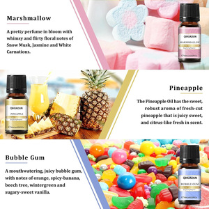 Set Regalo di Oli Profumati Holiday Island, 6 Bottiglie per Candele Fai-da-Te, Sapone, Diffusore, Etichetta Privata Personalizzata OEM - Product Image 3