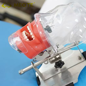 Foshan meite dentista formazione insegnamento con la testa della mascella modello dentale Phantom Manikin simulatore Typodont - Product Image 2