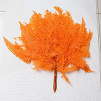Fleurs de fougère de montagne préservées à prix de gros, fleurs séchées pour décoration de mariage, fête, Noël