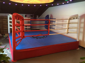 Venta internation FIB comercial estándar anillo de Boxeo Pro jaula de MMA UFC Octagon Pro estera de lucha para la exportación - Product Image 2
