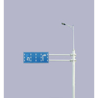 Poste de farola LED inteligente Columna de iluminación de monitoreo integrado multifuncional urbano Equipo para exteriores
