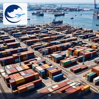 Servicio de Transporte de Contenedores Puerta a Puerta de Shanghái a Polonia, Servicio de Agente de Carga