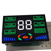 Affichage LED FND à 7 segments personnalisé en usine, ultra-lumineux, DIP, affichage LED à 7 segments personnalisé pour applications électriques