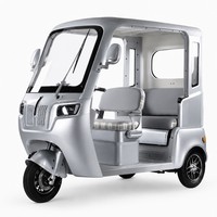 Triciclo Eléctrico de 3 Ruedas Directo de Fábrica en China, Doble Asiento, Faro LED, 1000W, Motor sin Escobillas, para Personas Mayores y Familias