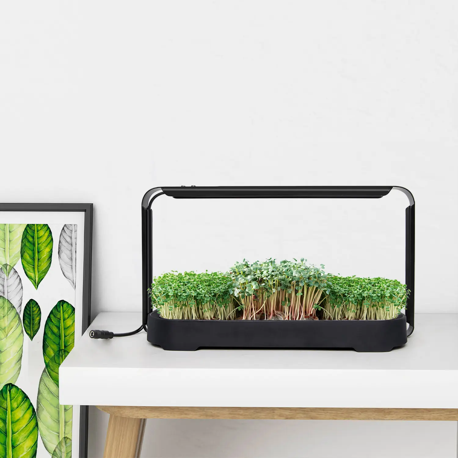 Lichte Hydroponische Voortplanting Organische Spruiten Geautomatiseerd Kweeksysteem Microgroen Groeisysteem Smart Grow Kit Voor Thuis