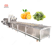 Groente Wassen En Droger Productielijn Leverancier Ozon Luchtbel Groente Fruit Wasmachine