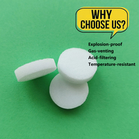 Filtre en plastique fritté personnalisé en usine, résistant aux acides, pour évents de batterie, en poudre poreuse frittée PP PE HDPE PA PTFE